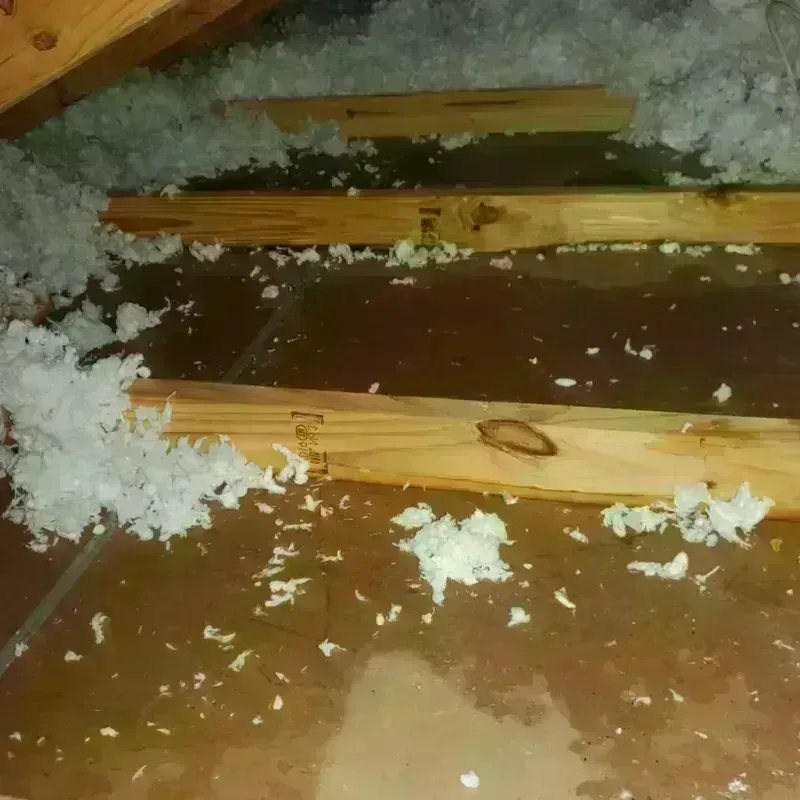 Attic Water Damage in Johnston City, IL