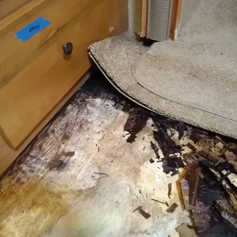 Wood Floor Water Damage in Johnston City, IL